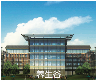 养生谷